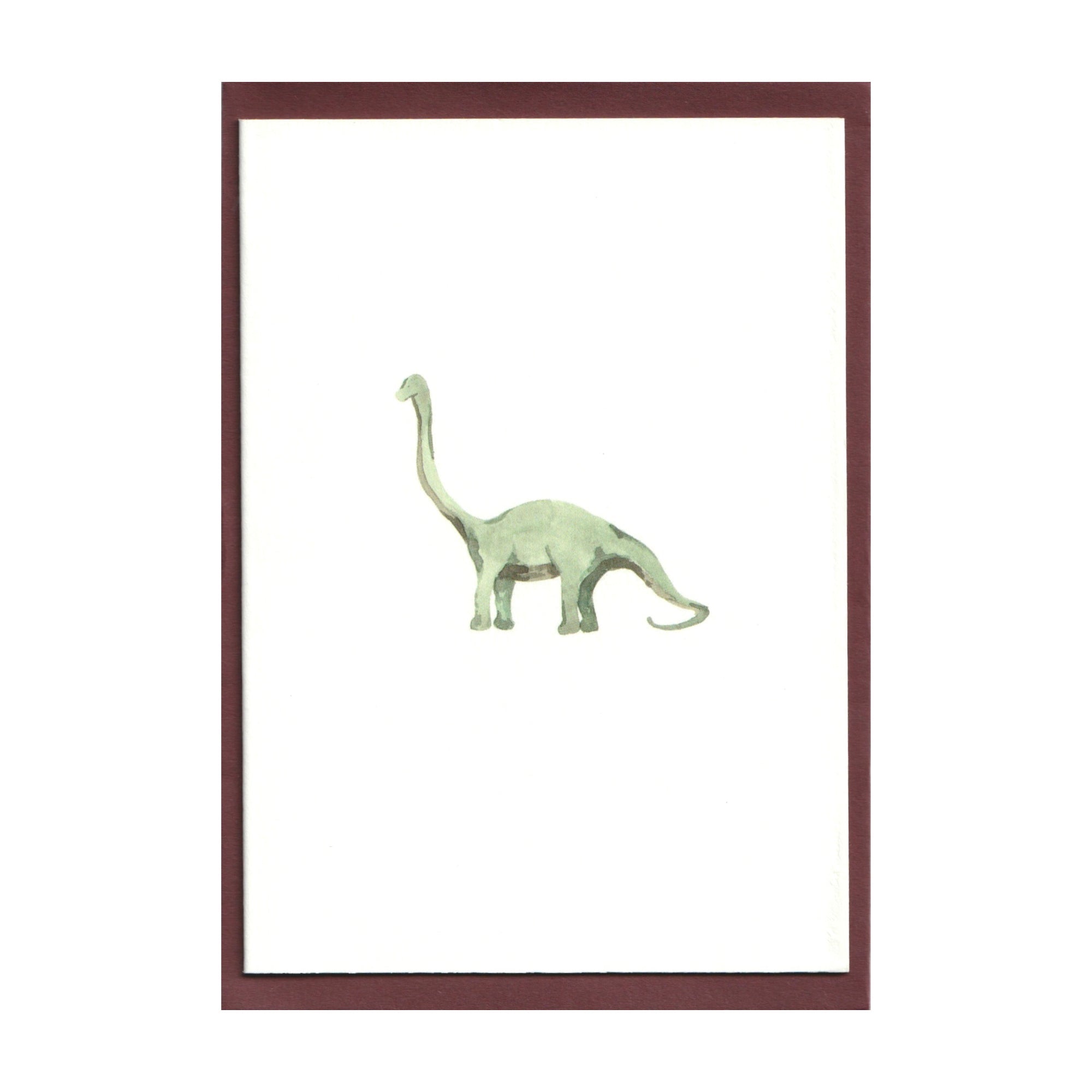 Pack of 5 Diplodocus Dinosaur Cards - Seconds