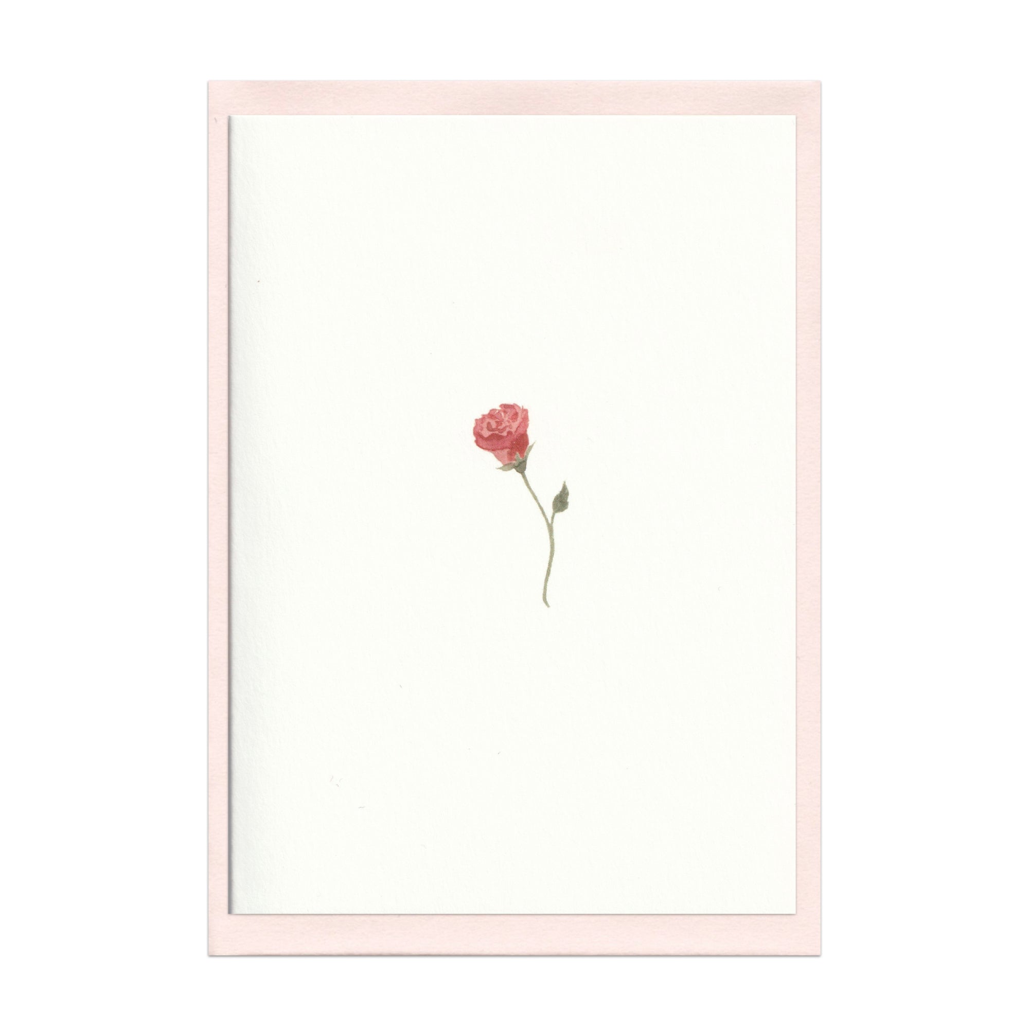 Pack of 5 Valentine's Rose Cards